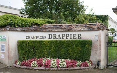 Champagne Drappier