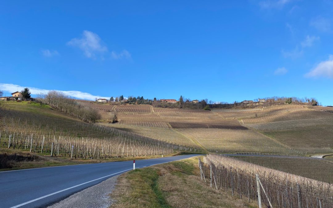 Wines of Piedmont